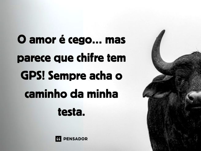 O amor é cego… mas parece que chifre tem GPS! Sempre acha o caminho da minha testa.