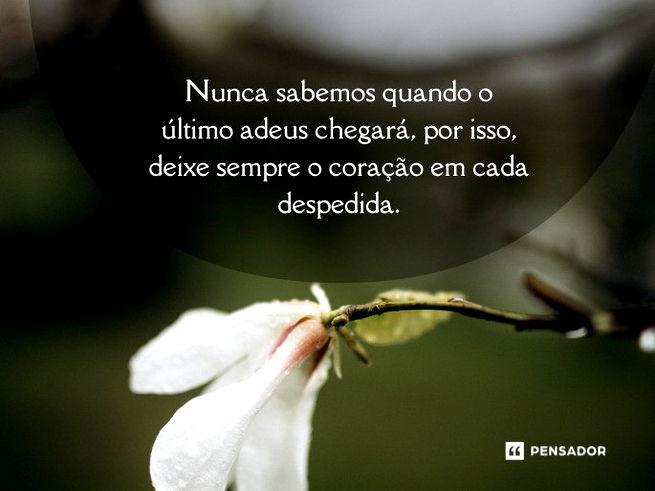 Nunca sabemos quando o último adeus chegará, por isso, deixe sempre o coração em cada despedida.