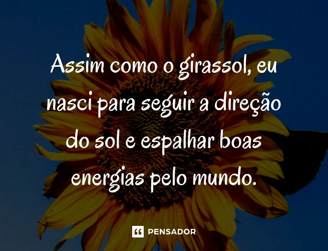 Assim como o girassol, eu nasci para seguir a direção do sol e espalhar boas energias pelo mundo.