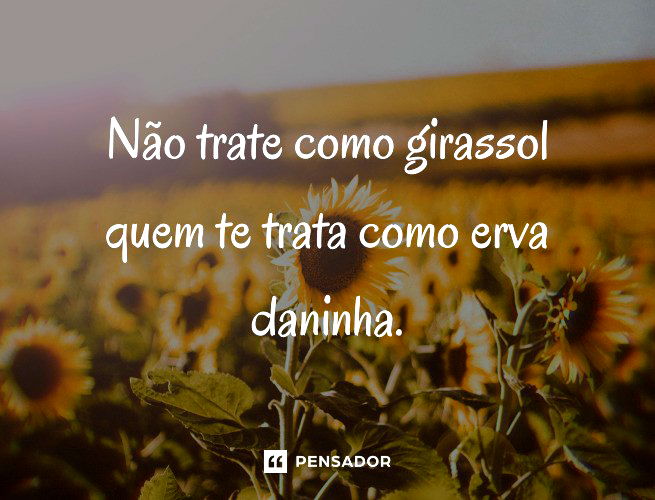 Não trate como girassol quem te trata como erva daninha.