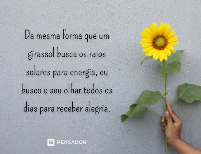 Aprender Sobre 49 Imagem Frases Motivacionais Girassol Br