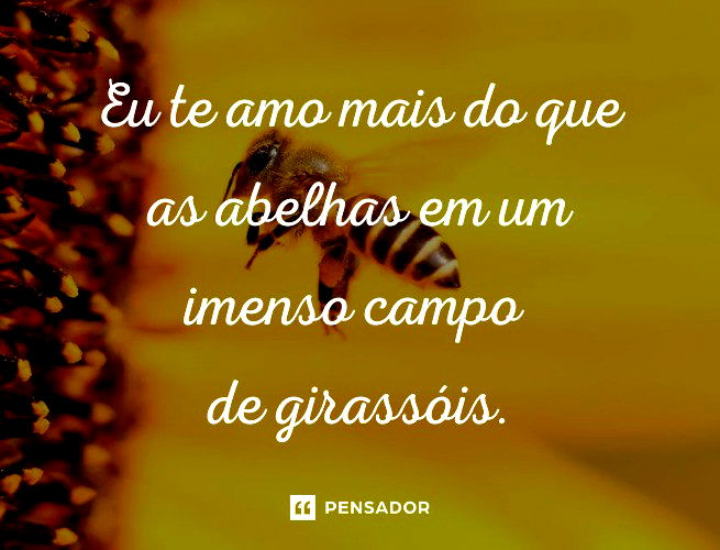 Eu te amo mais do que as abelhas em um imenso campo de girassóis.