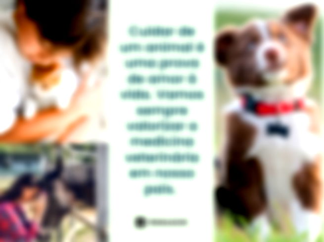 Cuidar de um animal é uma prova de amor à vida. Vamos sempre valorizar a medicina veterinária em nosso país. 