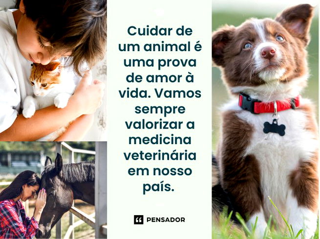 Cuidar de um animal é uma prova de amor à vida. Vamos sempre valorizar a medicina veterinária em nosso país.