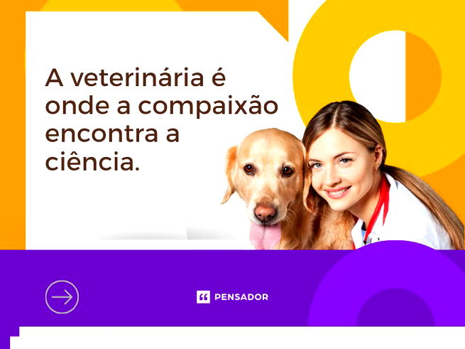 A veterinária é onde a compaixão encontra a ciência.