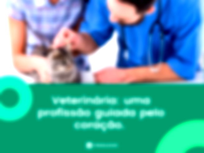 Veterinária: uma profissão guiada pelo coração. 