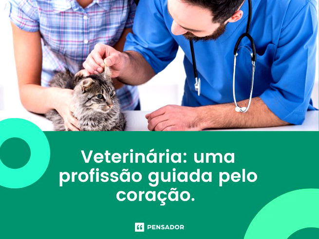 Veterinária: uma profissão guiada pelo coração.