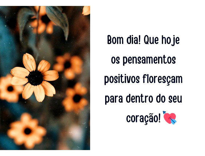 62 Frases De Positividade Para Melhorar O Seu Dia Pensador 