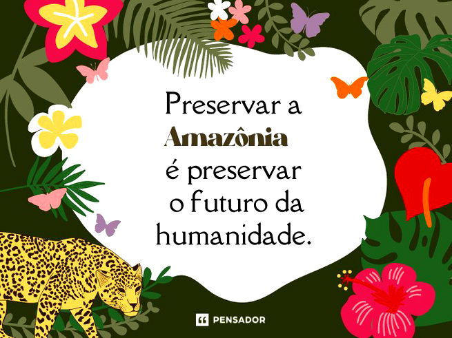 Preservar a Amazônia é preservar o futuro da humanidade. 