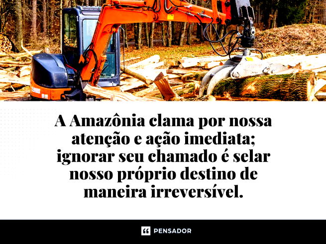 A Amazônia clama por nossa atenção e ação imediata; ignorar seu chamado é selar nosso próprio destino de maneira irreversível.