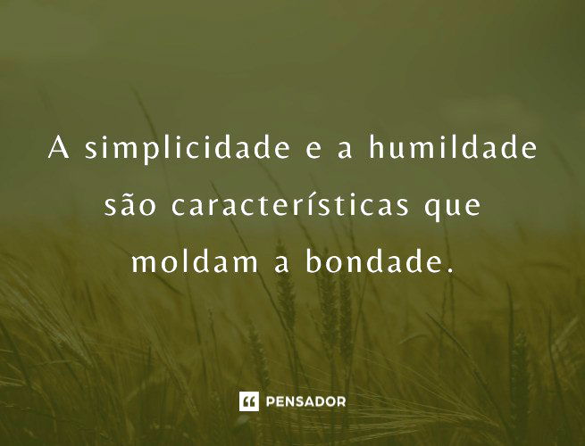 65 Frases De Simplicidade Para Valorizar As Pequenas Coisas Da Vida