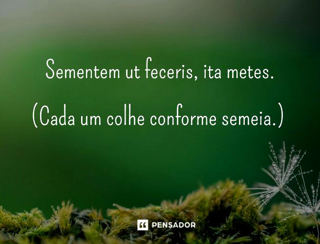 FRASES MISTICAS - Qualidade