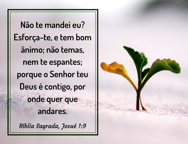 57 frases evangélicas para fortalecer a fé e descansar em Deus - Pensador