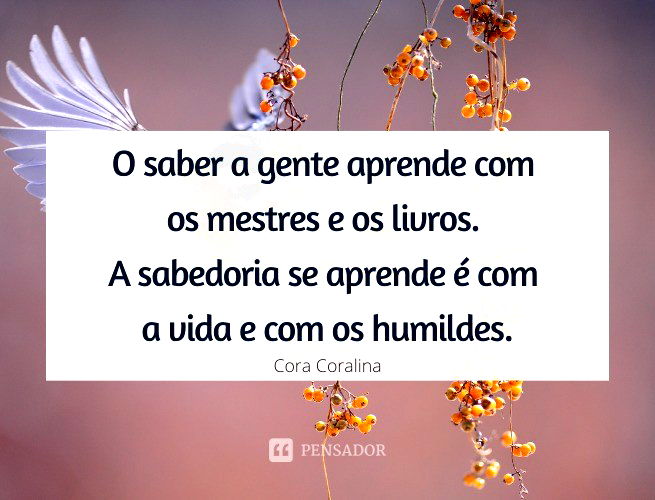 As 71 frases mais lindas do mundo - Pensador