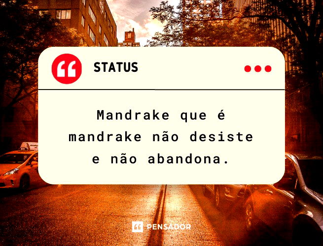 91 frases mandrake cheias de atitude 🔥 - Pensador