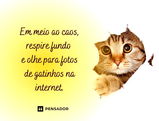 100 frases engraçadas que fazem qualquer um rir 😂 - Pensador