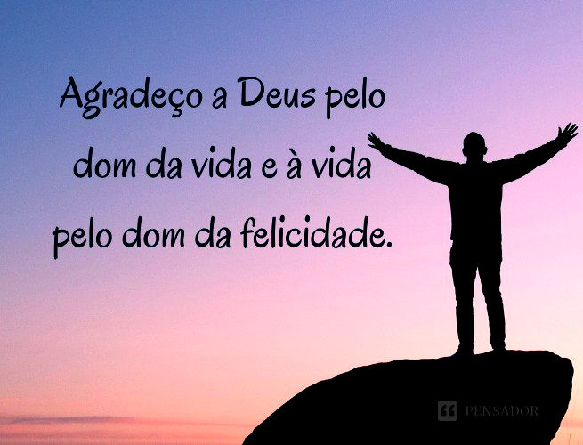 Agradeço a Deus pelo dom da vida e à vida pelo dom da felicidade.