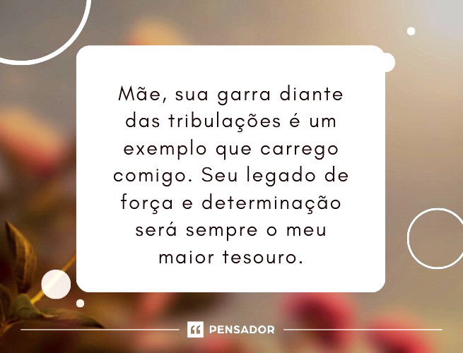 Mãe, sua garra diante das tribulações é um exemplo que carrego comigo. Seu legado de força e determinação será sempre o meu maior tesouro.