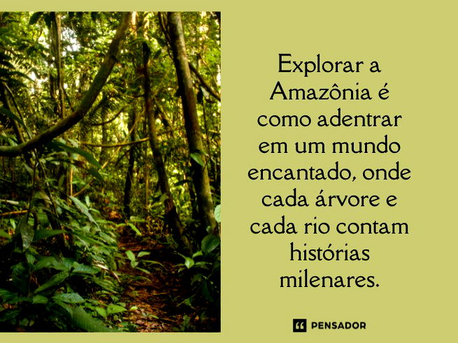 Explorar a Amazônia é como adentrar em um mundo encantado, onde cada árvore e cada rio contam histórias milenares. 