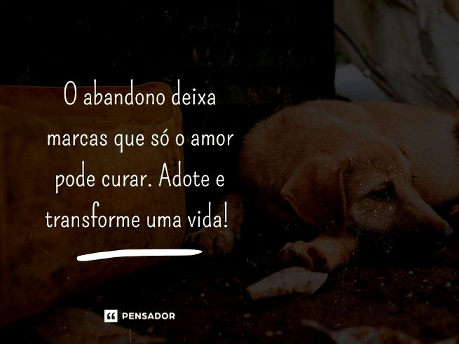 O abandono deixa marcas que só o amor pode curar. Adote e transforme uma vida!