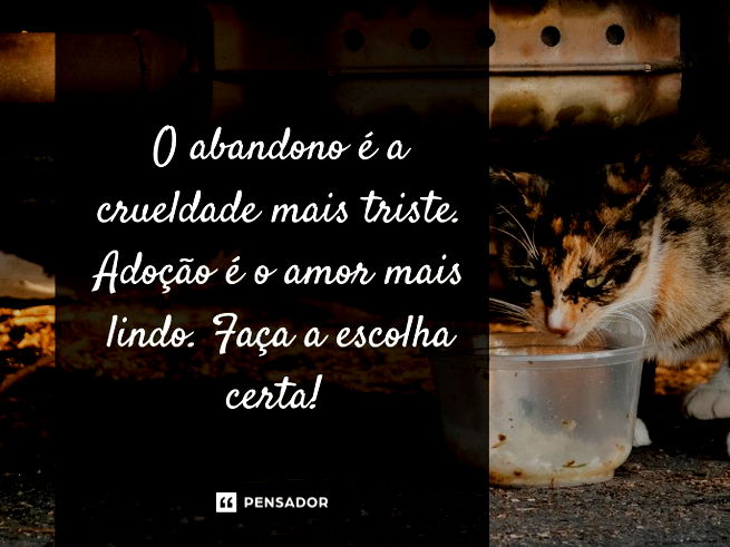 O abandono é a crueldade mais triste. Adoção é o amor mais lindo. Faça a escolha certa!
