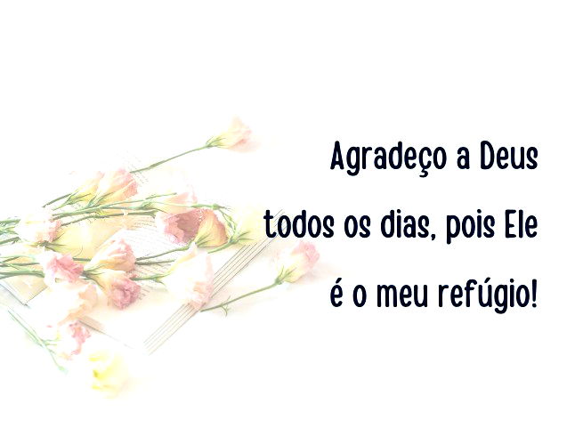 Gratidão pelo dia de hoje: 43 frases para celebrar as alegrias da vida -  Pensador