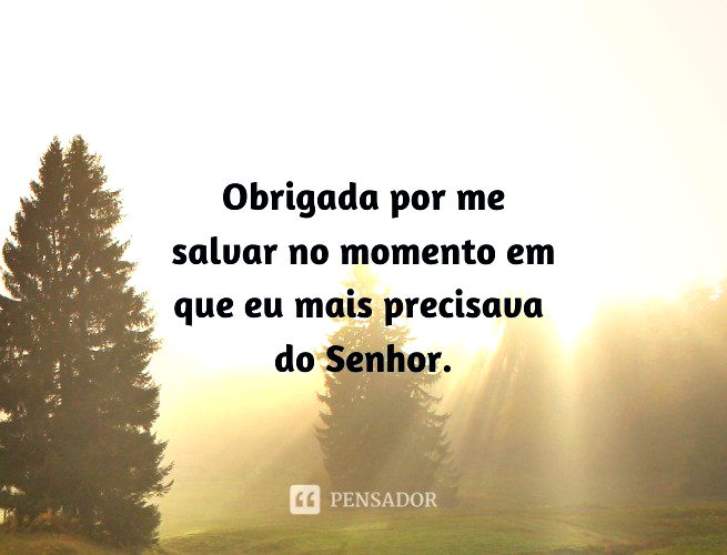 Palavra De Hoje - P A L A V R A D E H O J E! 🗣️❤️🙏🏼✨ . Grato a Deus por  tudo! Mais uma vez as misericórdias se renovaram sobre