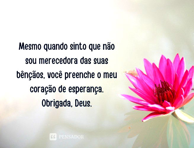 71 frases e mensagens de gratidão a Deus 🙏🏻 - Pensador