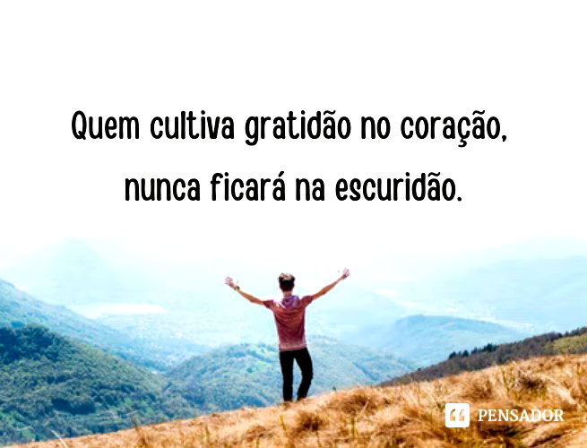 Quem cultiva gratidão no coração, nunca ficará na escuridão.