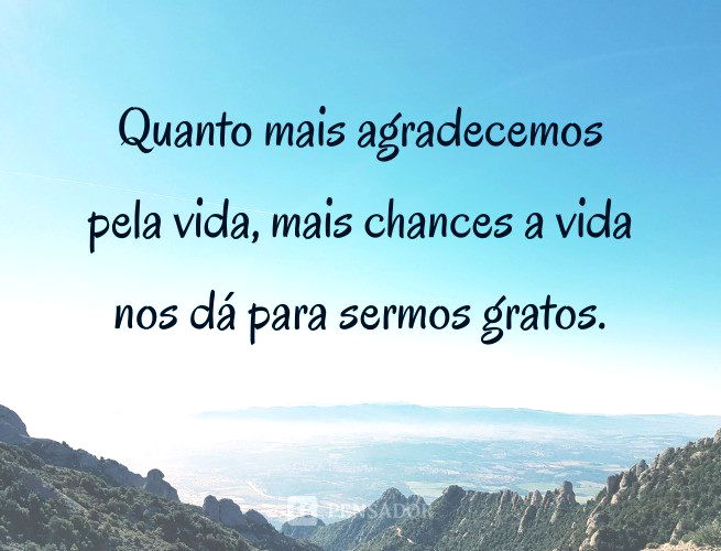 62 Mensagens De Gratidão Pela Vida Para Refletir E Agradecer Pensador