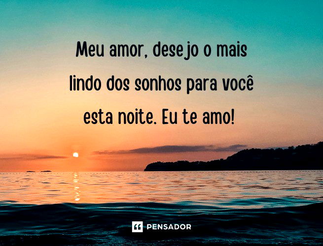 Meu amor, desejo o mais lindo dos sonhos para você esta noite. Eu te amo!