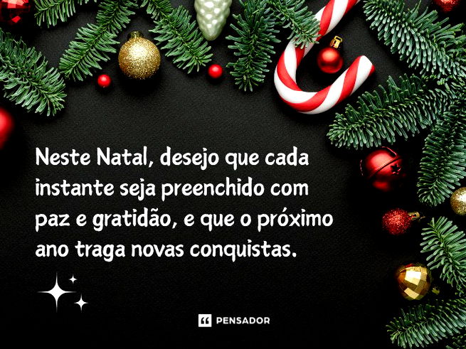 Neste Natal, desejo que cada instante seja preenchido com paz e gratidão, e que o próximo ano traga novas conquistas.