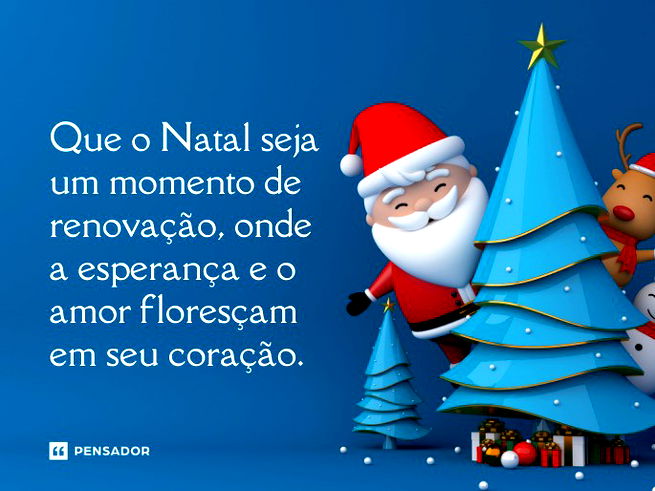 Que o Natal seja um momento de renovação, onde a esperança e o amor floresçam em seu coração.