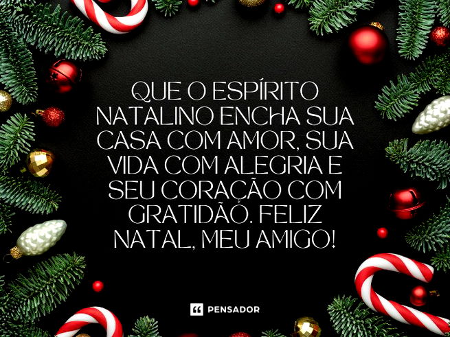 Que o espírito natalino encha sua casa com amor, sua vida com alegria e seu coração com gratidão. Feliz Natal, meu amigo!