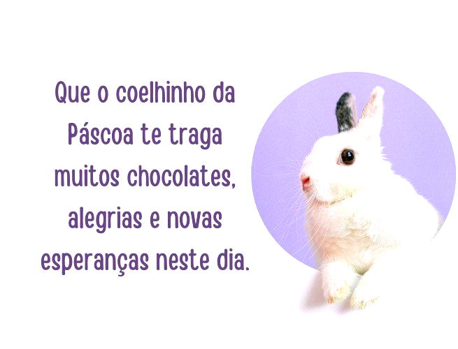 Que o coelhinho da Páscoa te traga muitos chocolates, alegrias e novas esperanças neste dia.