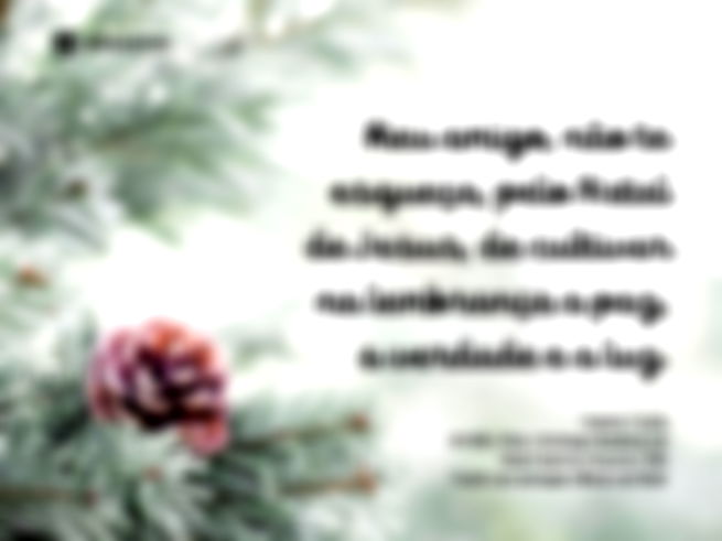 Meu amigo, não te esqueça, pelo Natal de Jesus, de cultivar na lembrança a paz, a verdade e a luz.  Casimiro Cunha  XAVIER, Chico. Antologia Mediúnica do Natal. Espíritos Diversos. FEB.  Trecho da mensagem Bilhete de Natal.