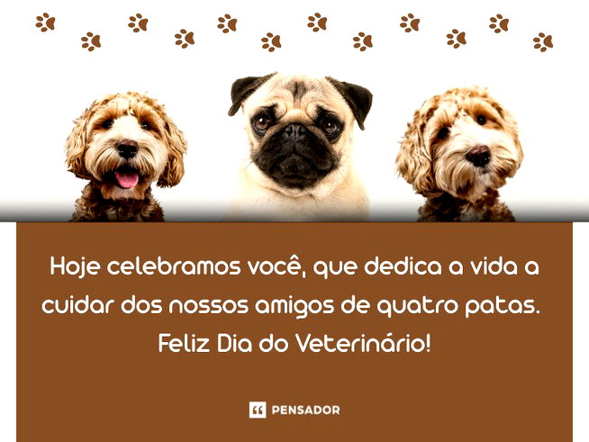 Hoje celebramos voc&ecirc;, que dedica a vida a cuidar dos nossos amigos de quatro patas. Feliz Dia do Veterin&aacute;rio!