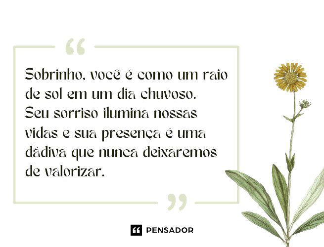 Sobrinho, você é como um raio de sol em um dia chuvoso. Seu sorriso ilumina nossas vidas e sua presença é uma dádiva que nunca deixaremos de valorizar. 