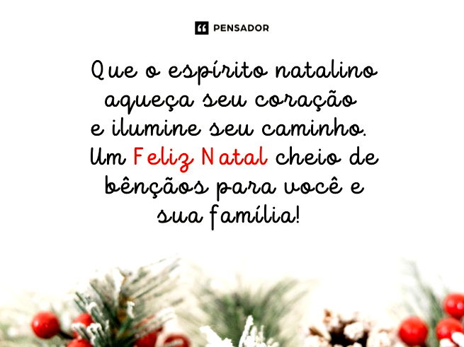 Que o espírito natalino aqueça seu coração e ilumine seu caminho. Um Feliz Natal cheio de bênçãos para você e sua família!