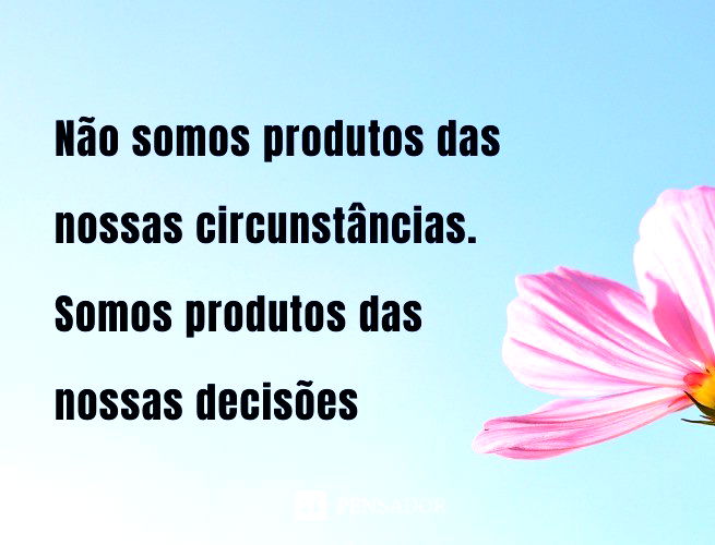Não somos produtos das nossas circunstâncias. Somos produtos das nossas decisões.