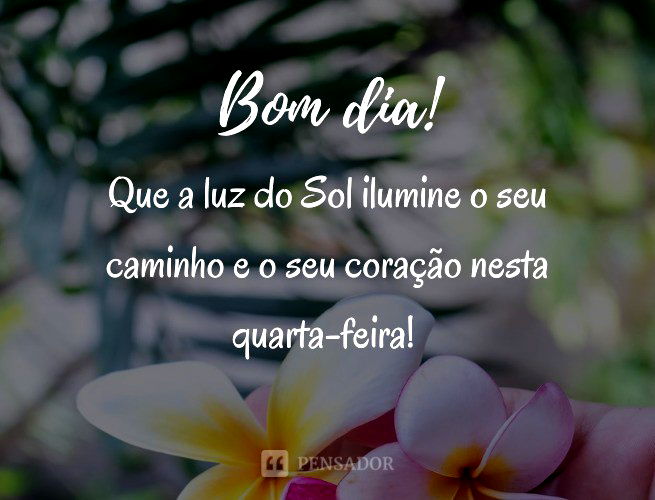 Bom dia Terça-feira Maravilhosa! Frases e Mensagens para Todos