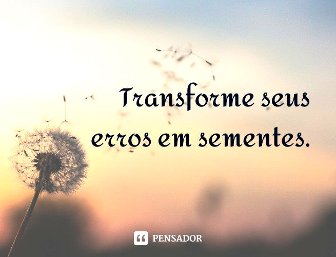 Transforme seus erros em sementes.