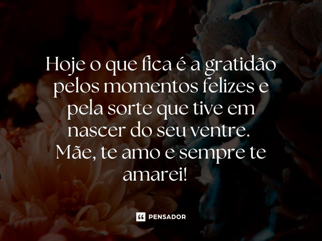 Hoje o que fica é a gratidão pelos momentos felizes e pela sorte que tive em nascer do seu ventre. Mãe, te amo e sempre te amarei!