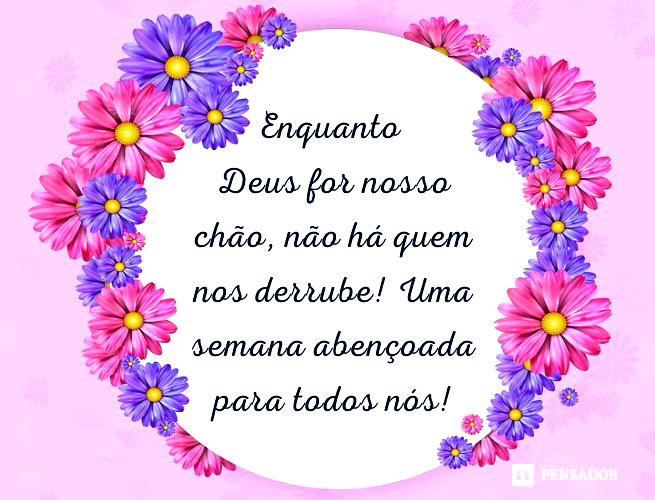 62 frases de semana abençoada que vão inspirar todos os seus dias ...