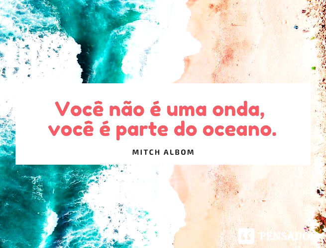 Você não é uma onda, você é parte do oceano. Mitch Albom