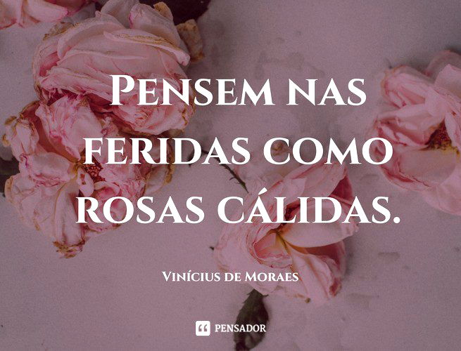 Pensem nas feridas Como rosas cálidas