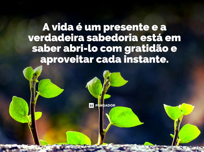 37 frases sobre aproveitar a vida e ser feliz de verdade - Pensador