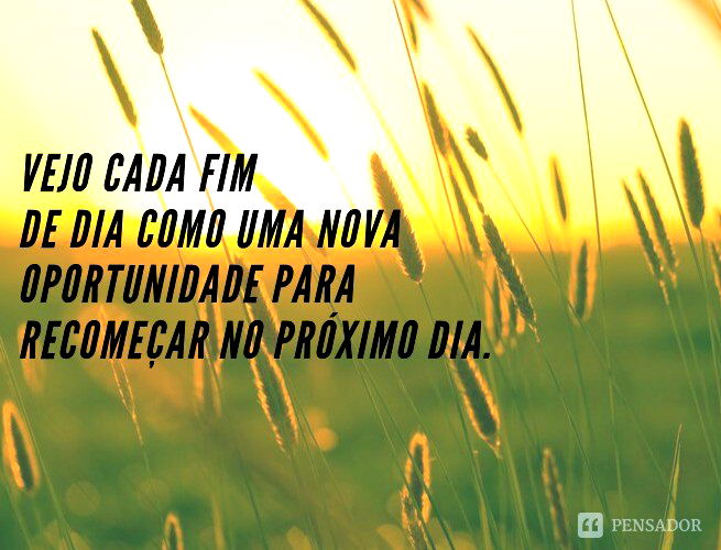 Imagm 11
