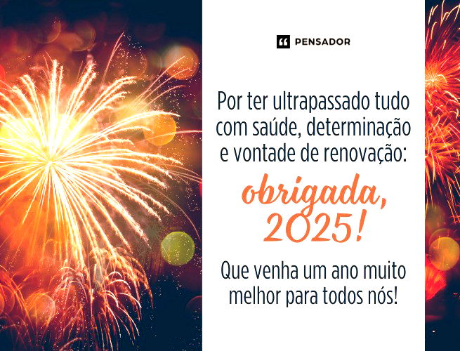 Por ter ultrapassado tudo com saúde, determinação e vontade de renovação: obrigada, 2025!