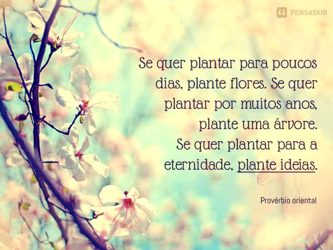 Se quer plantar para poucos dias, plante flores. Se quer plantar por muitos anos, plante uma árvore. Se quer plantar a eternidade, plante ideias. Provérbio oriental